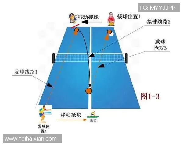 乒乓球战术揭秘：深入分析成都乒乓球队的训练与比赛策略