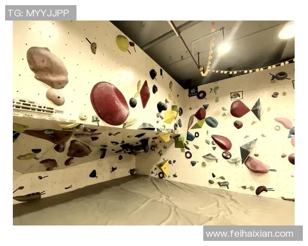 广州攀岩队引领热潮探索攀岩运动的新节奏与发展之路