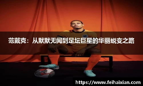 OB视讯