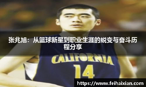 张兆旭：从篮球新星到职业生涯的蜕变与奋斗历程分享